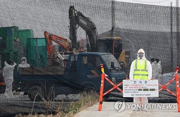 A quarantine official blocks a road leading to a duck farm in Muan, a<em></em>bout 290 kilometers south of Seoul, on Dec. 6, 2023, after a highly pathogenic H5 strain of avian influenza was detected there. (Yonhap)