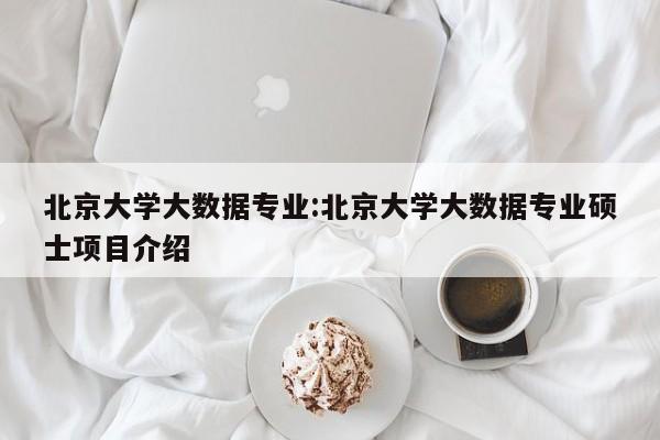 北京大学大数据专业：北京大学大数据专业硕士项目介绍