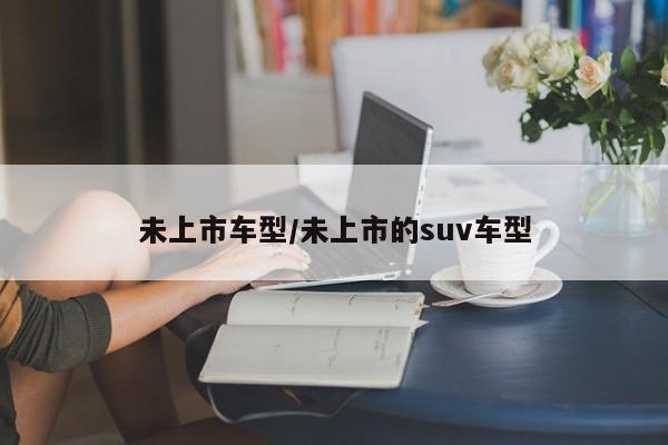 未上市车型／未上市的suv车型