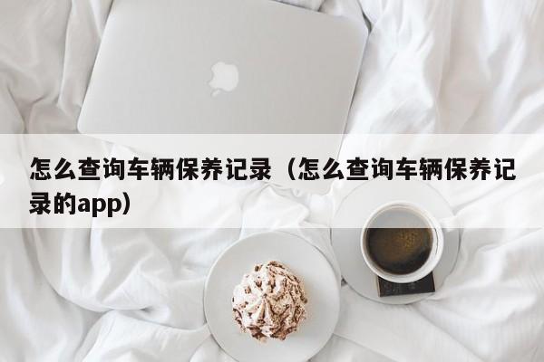 怎么查询车辆保养记录（怎么查询车辆保养记录的app）