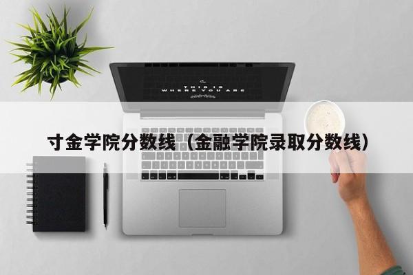 寸金学院分数线（金融学院录取分数线）