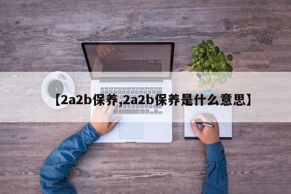 【2a2b保养,2a2b保养是什么意思】