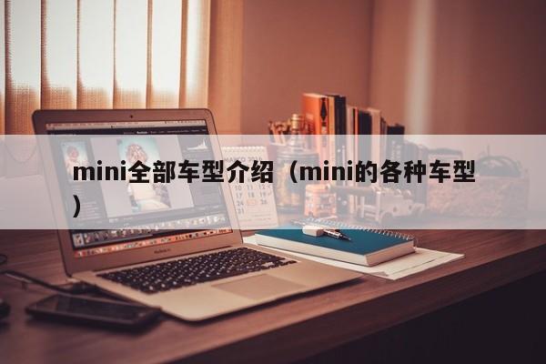 mini全部车型介绍（mini的各种车型）