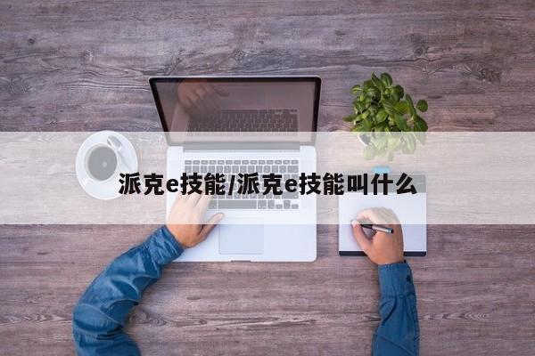 派克e技能／派克e技能叫什么